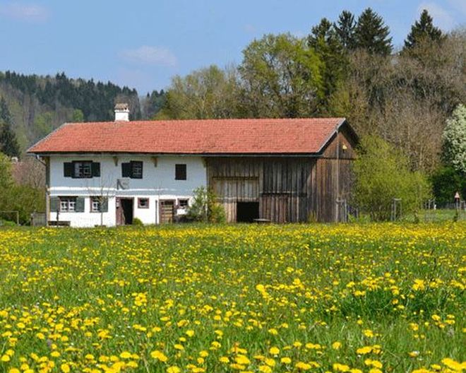 Bauernhausmuseum Wolfegg, Bauernhaus und Löwenzahnwiese