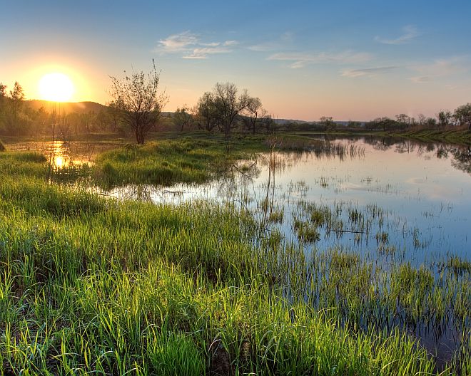 Moor, Moornutzung, Natur