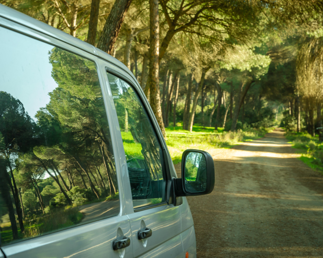 Bus Natur Wald