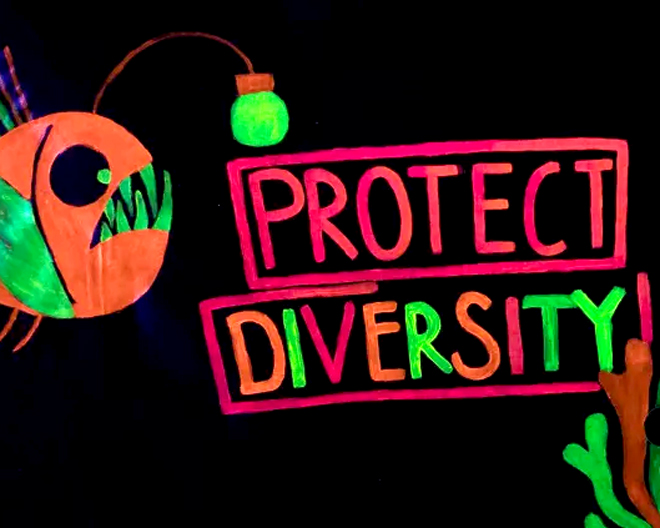 Protect Diversity Greenpeace Augsburg