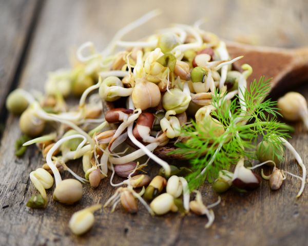 Essen kochen Dinner Gemüse Kurs Kochkurs vegan sprossen