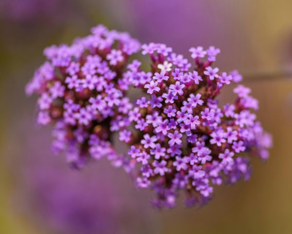 Monika Meier / unsplash